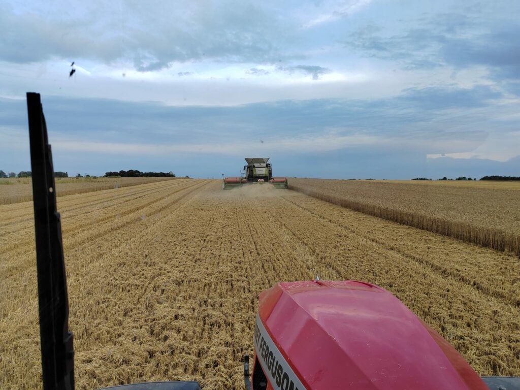 Moisson Saveurs Câlines blé pâtes normandes fermières locales