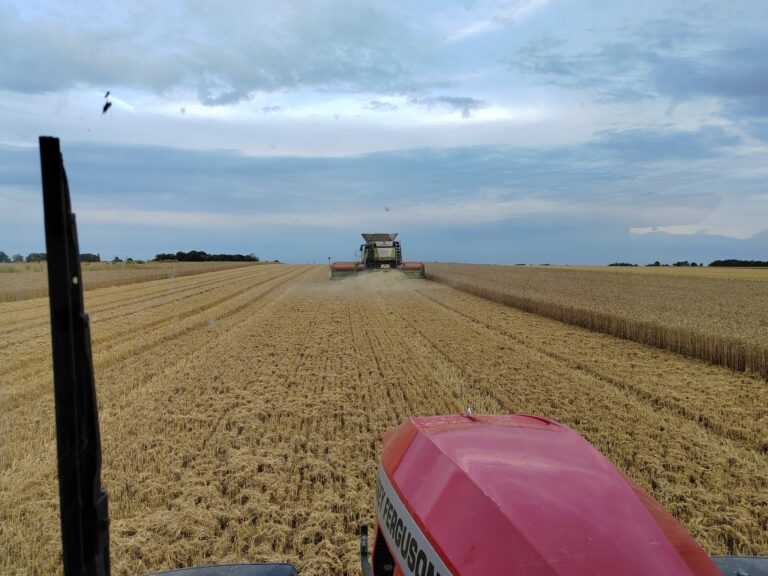 Moisson Saveurs Câlines blé pâtes normandes fermières locales