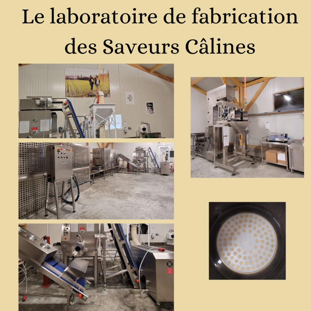 Laboratoire de fabrication des pâtes Saveurs Câlines