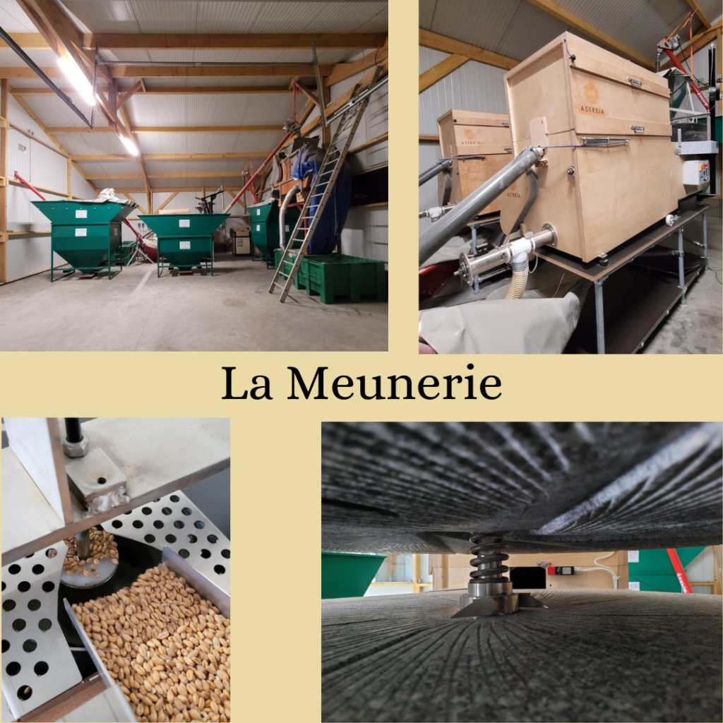 Meunerie Saveurs Câlines fabrication de pâtes à la ferme